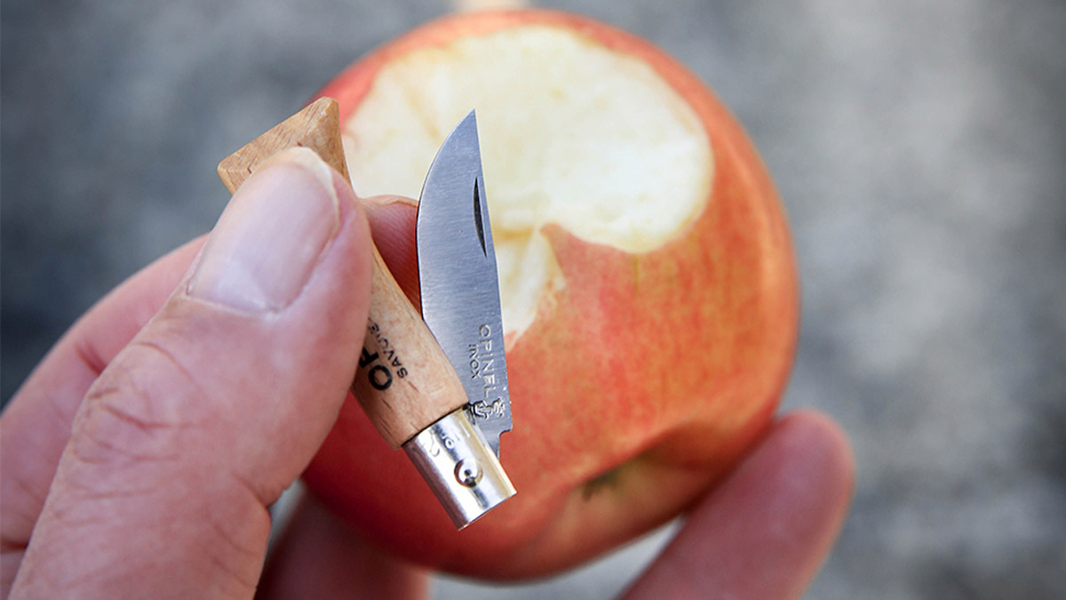 Opinel N°02 Inox Natural - składany nożyk Opinel N°02 Inox Natural - składany nożyk